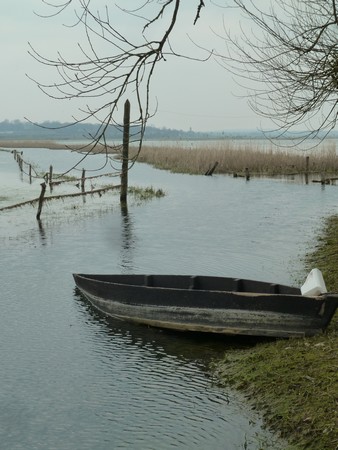 Marais de la Fi�re