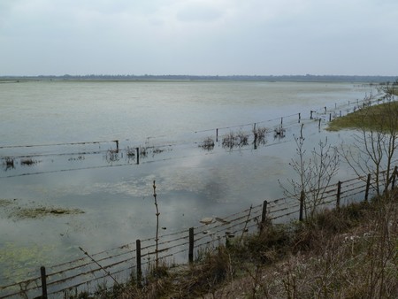 Marais de la Fi�re