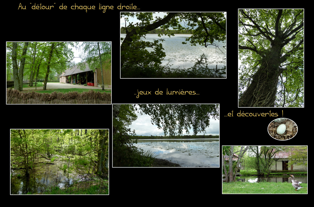 Le Randonneur en Sologne