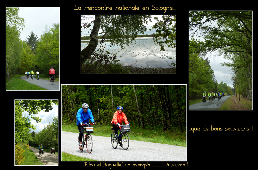 Le Randonneur en Sologne