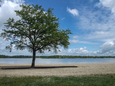Etang du Puits