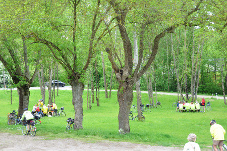 Villefranche sur Cher