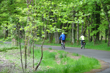 Le Randonneur en Sologne