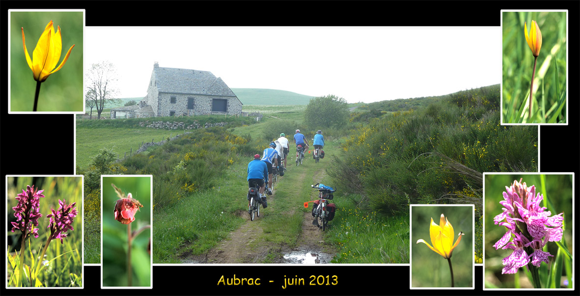 Le Randonneur Laguiole