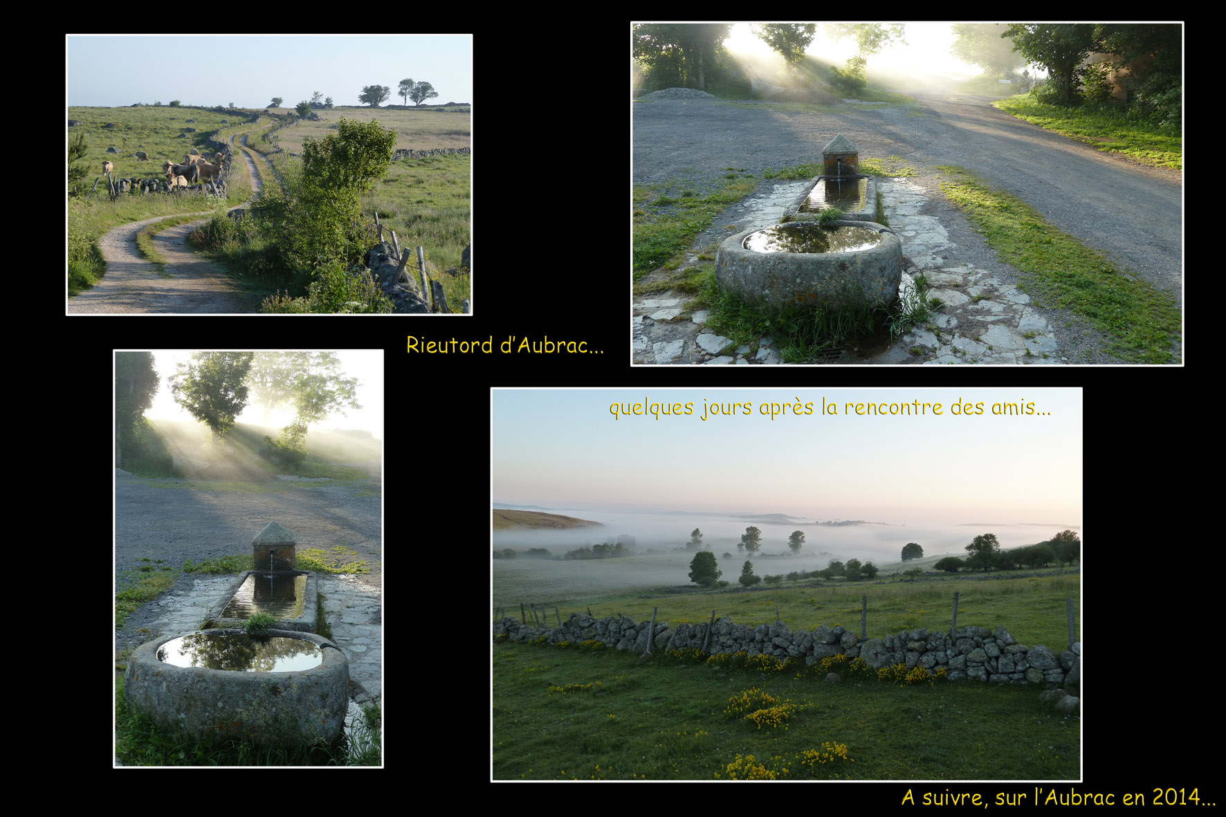 Le Randonneur Laguiole 2013