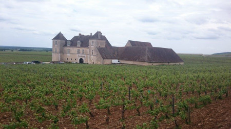Clos Vougeot