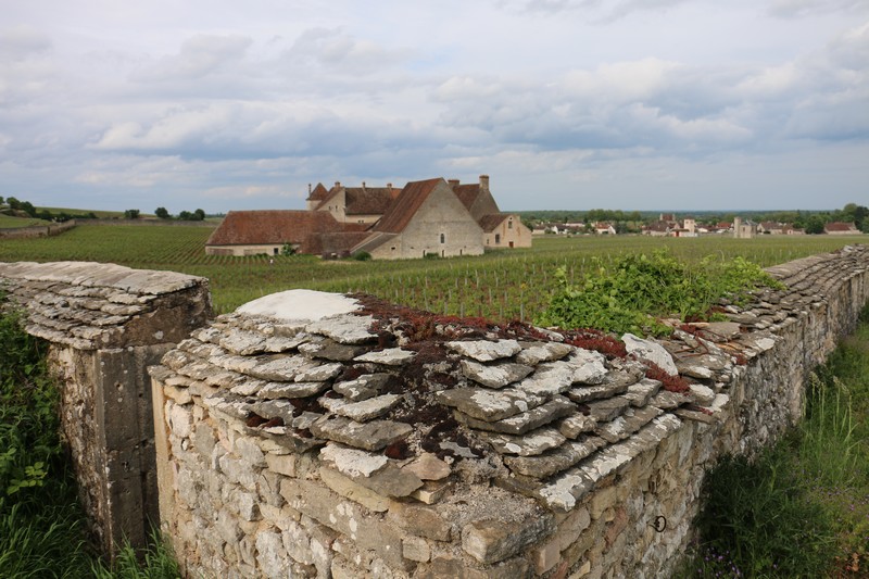 Clos Vougeot