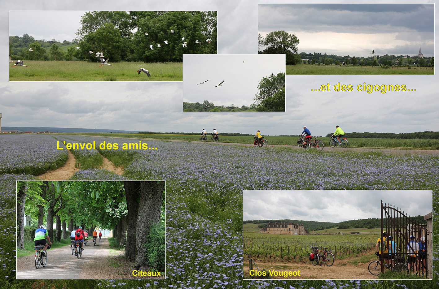 Le Randonneur � Seurre