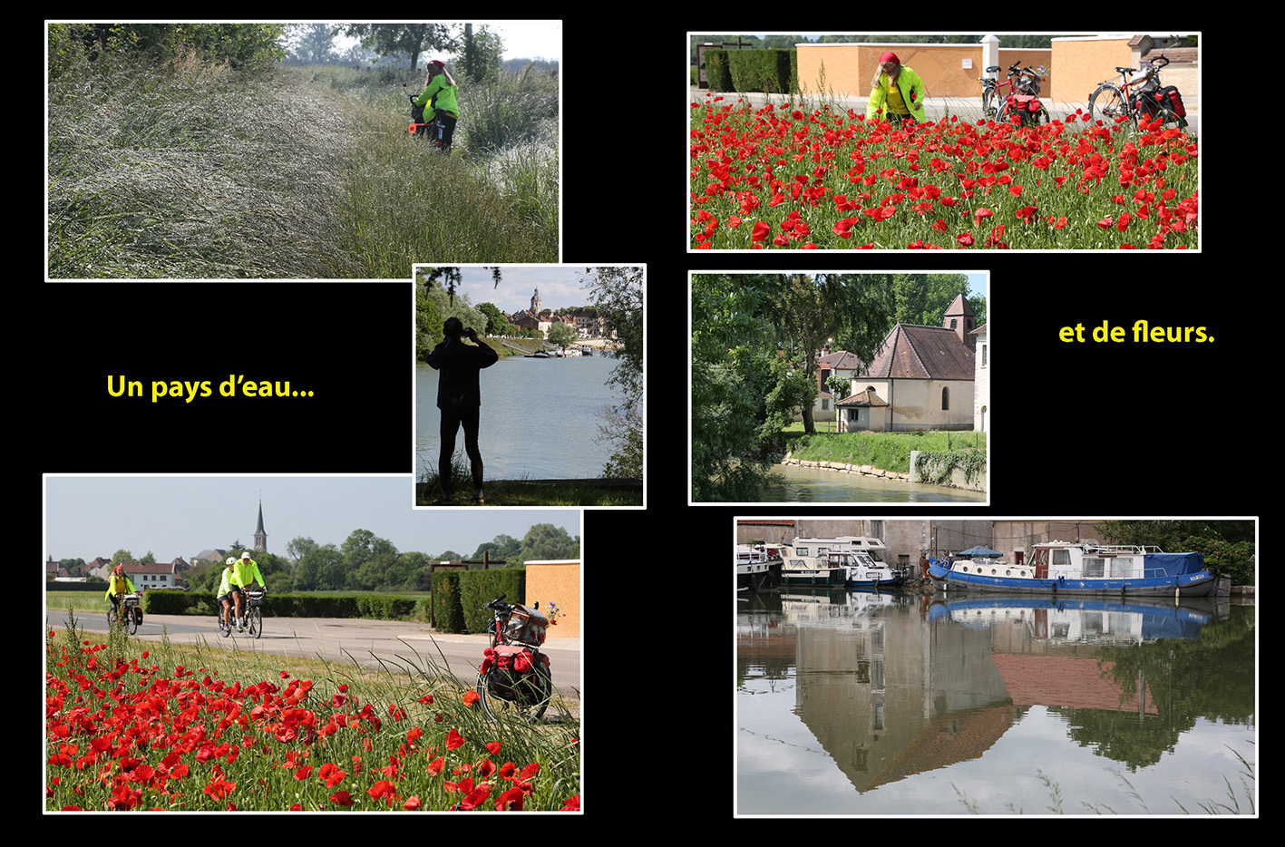 Le Randonneur � Seurre