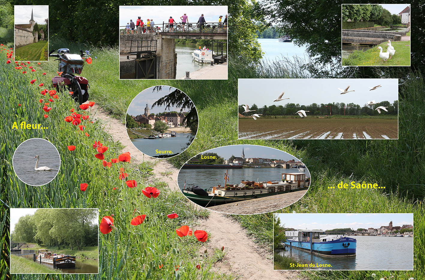 Le Randonneur � Seurre