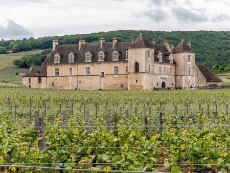 Clos Vougeot